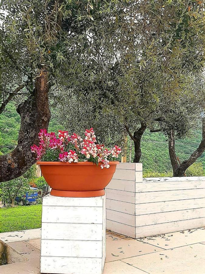 B&B Villa Giulia Capaccio Esterno foto