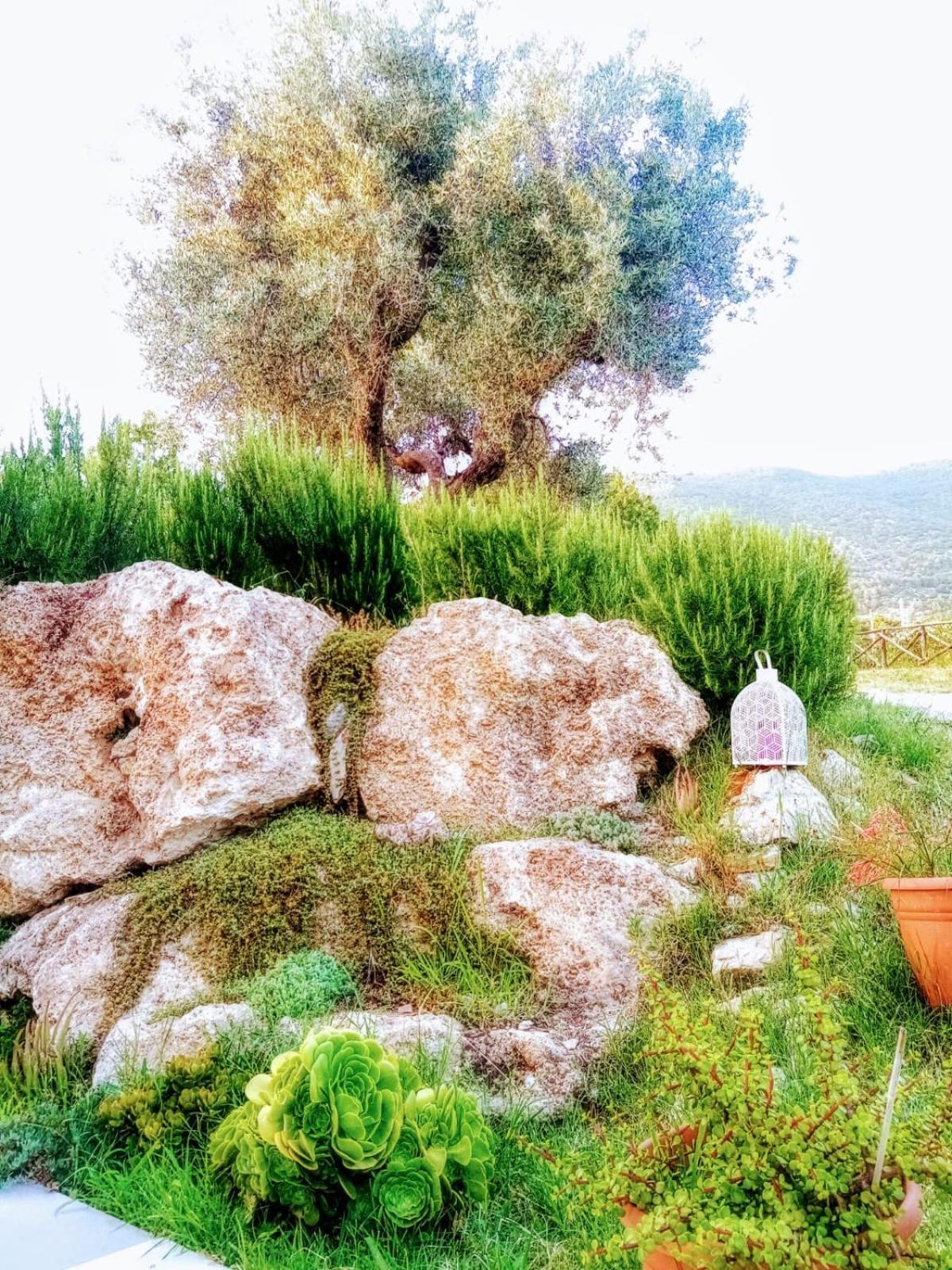 B&B Villa Giulia Capaccio Esterno foto