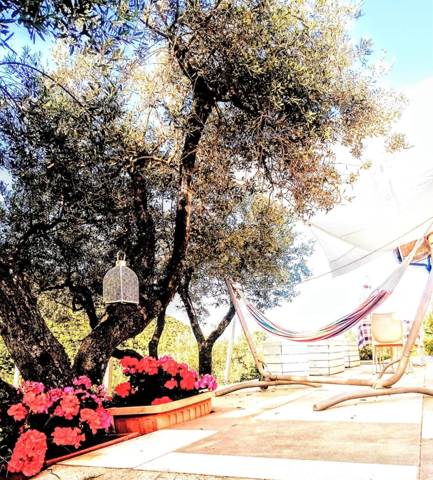 B&B Villa Giulia Capaccio Esterno foto